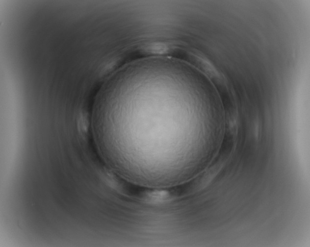 X0000114670374200910211155