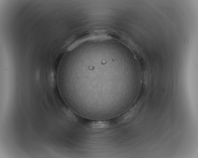 X0000114670378200910211155