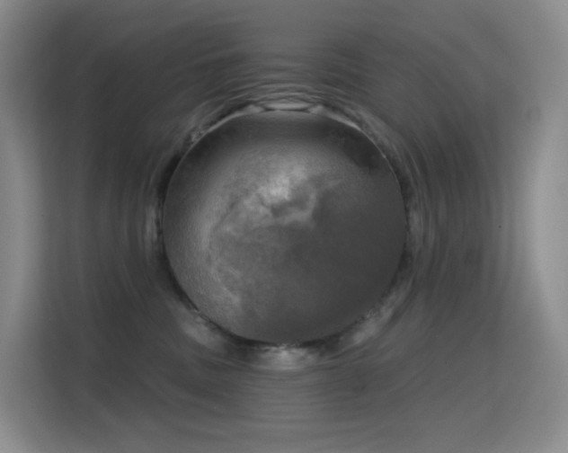 X0000114670379200910211155