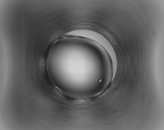 X0000114670381200910211155