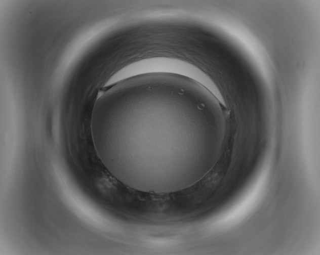 X0000114670382200910211155