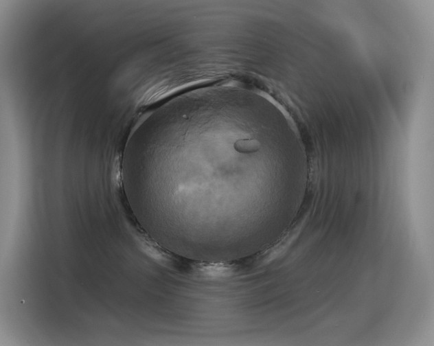 X0000114670383200910211155