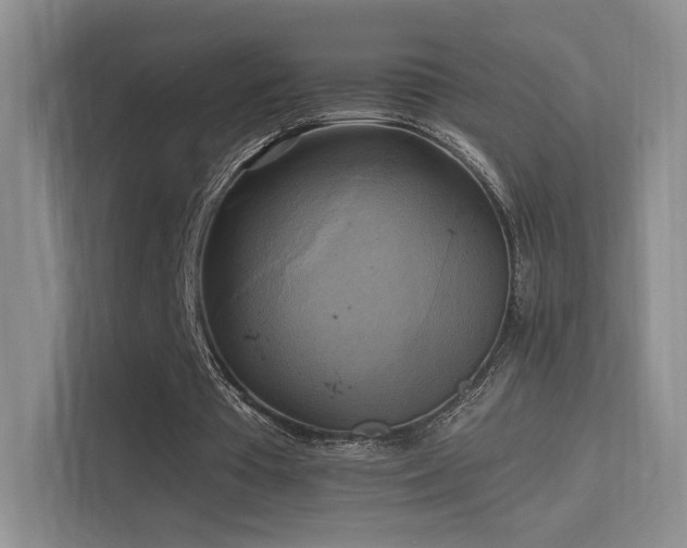 X0000114670385200910211154