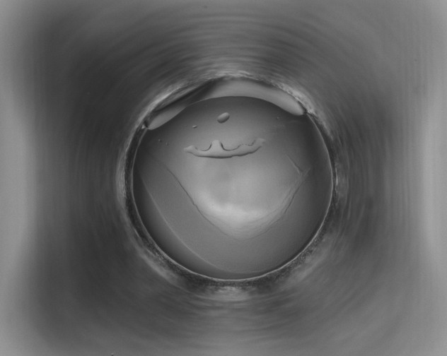 X0000114670390200910211154