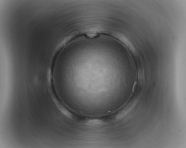 X0000114670397200910211154