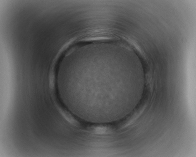 X0000114670400200910211154