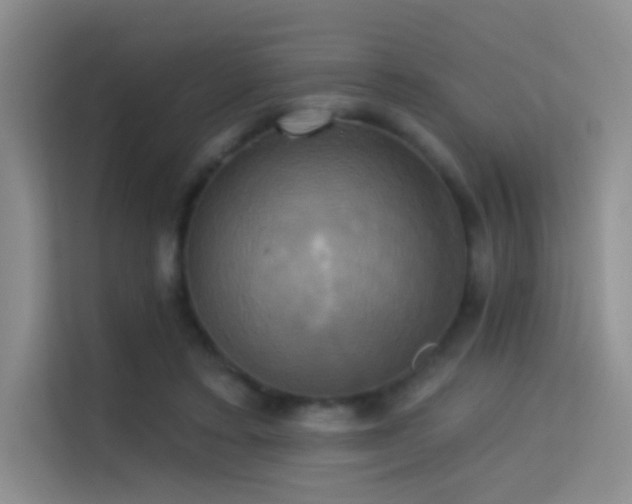 X0000114670403200910211154