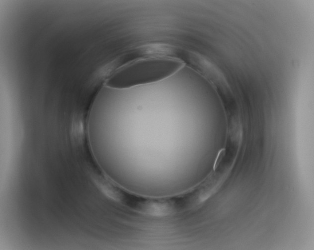 X0000114670405200910211154