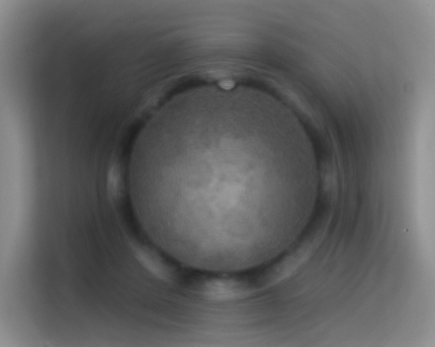 X0000114670408200910211154