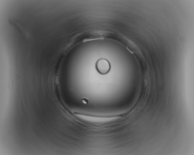 X0000114670409200910211154