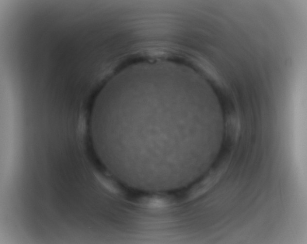 X0000114670412200910211154