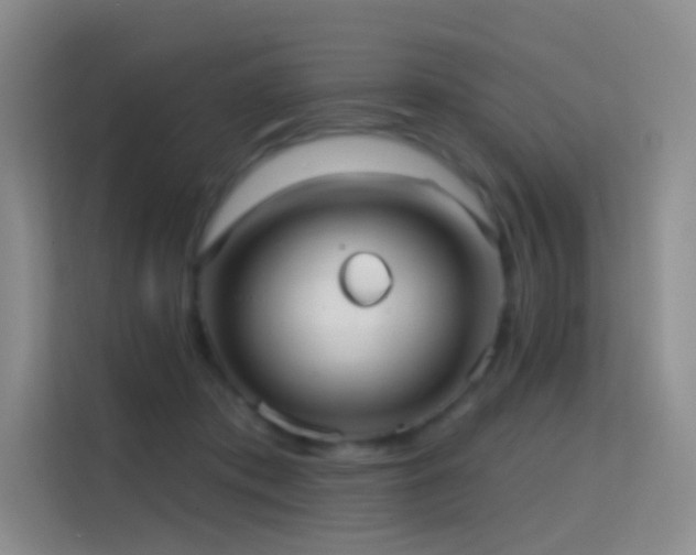 X0000114670413200910211154