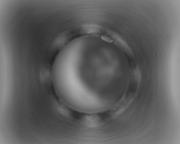 X0000114670415200910211154