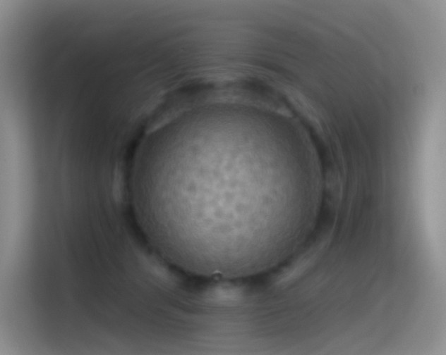 X0000114670416200910211154