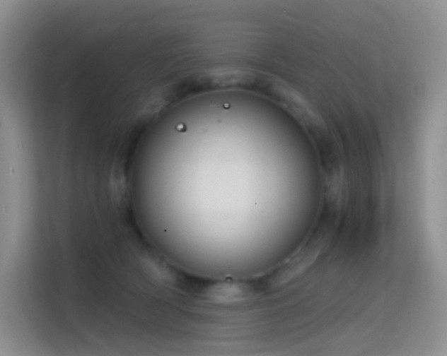 X0000114670418200910211154