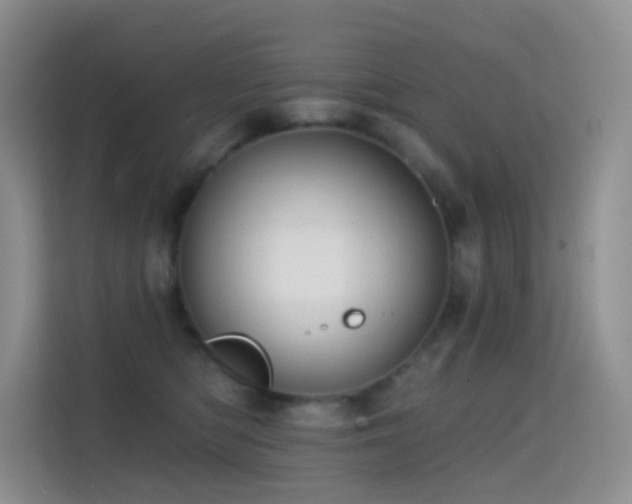 X0000114670422200910211154