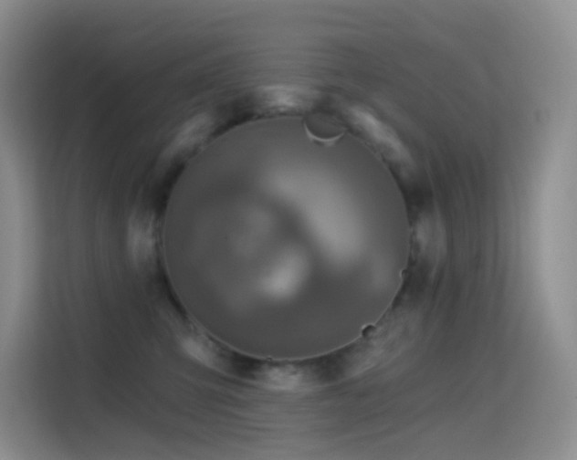 X0000114670423200910211154