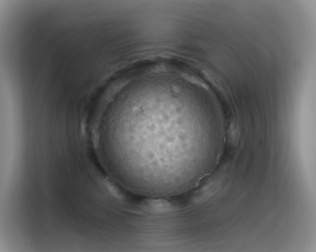 X0000114670424200910211154