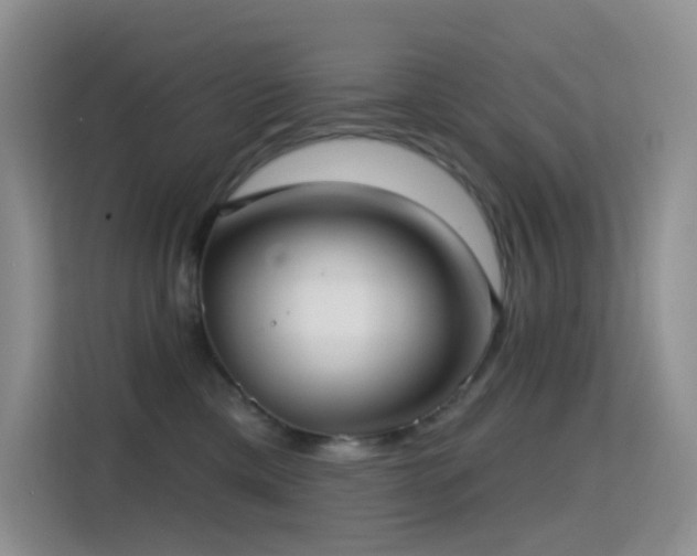 X0000114670425200910211154