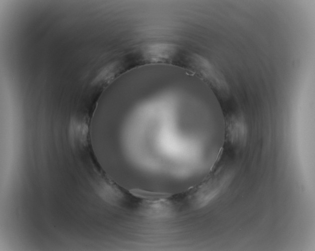 X0000114670427200910211154