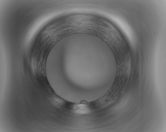 X0000114670431200910211154