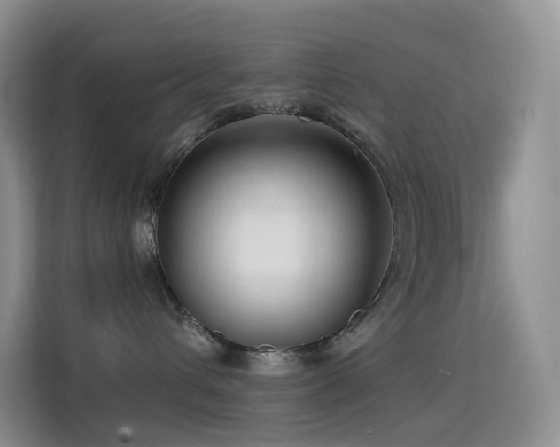 X0000114670432200910211154