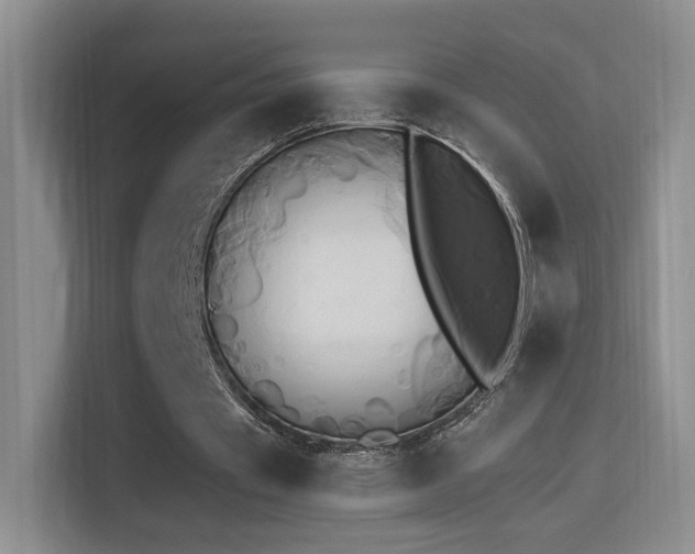 X0000114670433200910211153