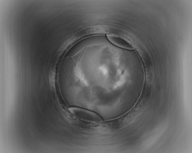 X0000114670434200910211153