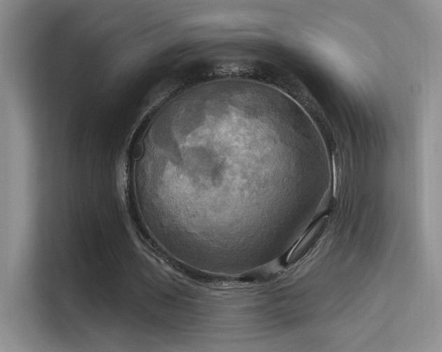 X0000114670435200910211153