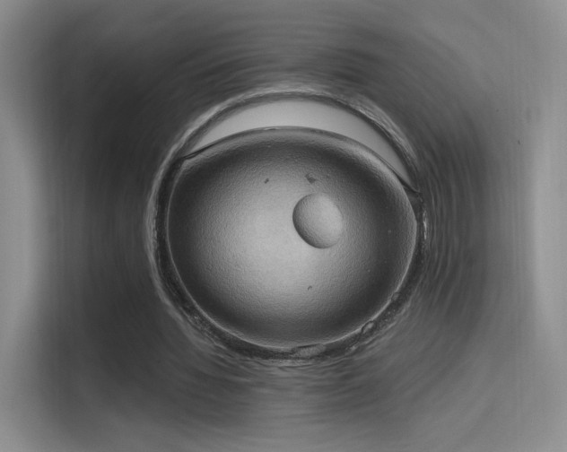 X0000114670436200910211153