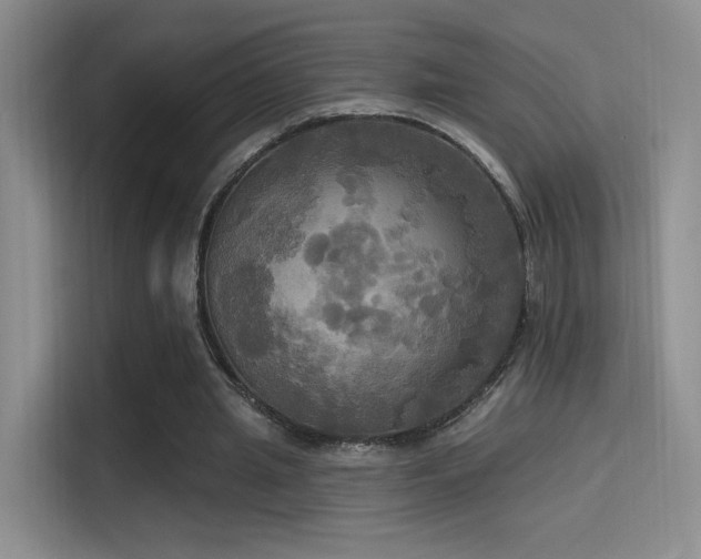 X0000114670437200910211153