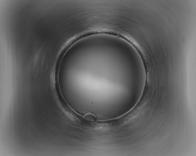 X0000114670438200910211153