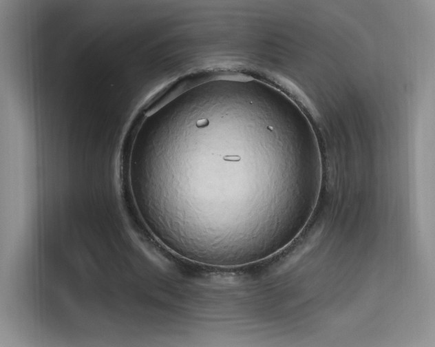 X0000114670439200910211153