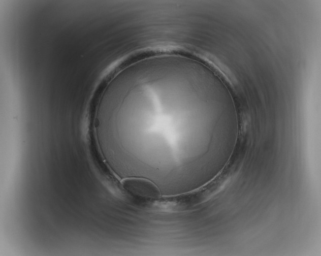 X0000114670440200910211153