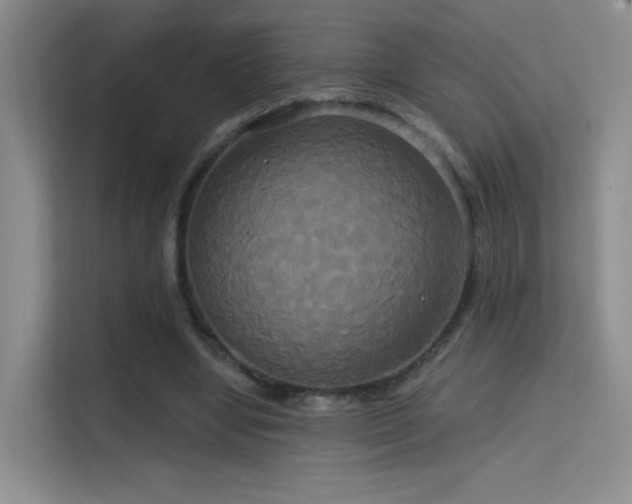 X0000114670442200910211153