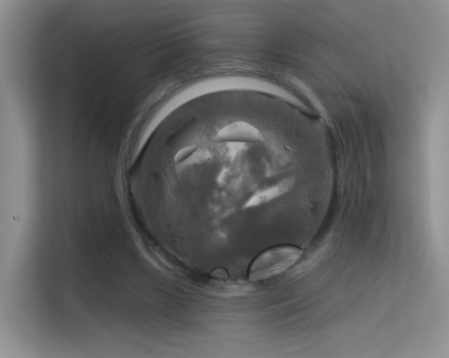 X0000114670443200910211153