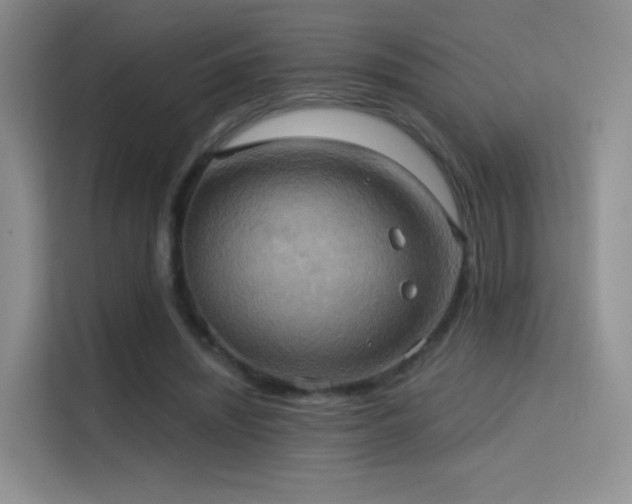 X0000114670444200910211153