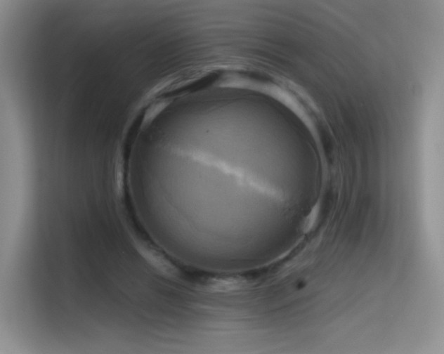 X0000114670446200910211153