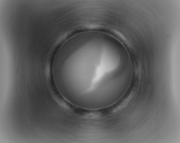 X0000114670447200910211153