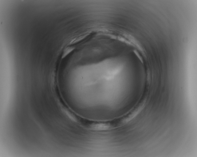 X0000114670449200910211153