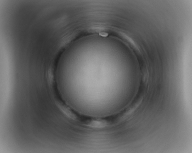 X0000114670455200910211153