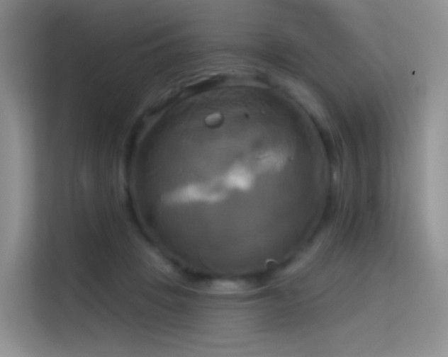 X0000114670457200910211153