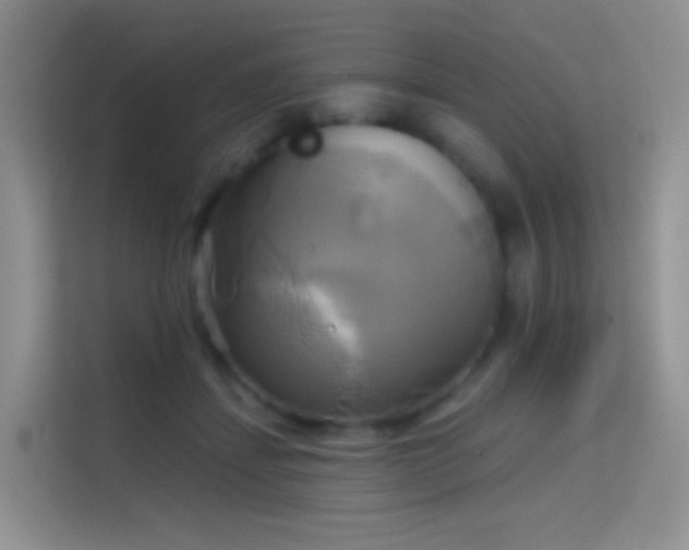 X0000114670459200910211154