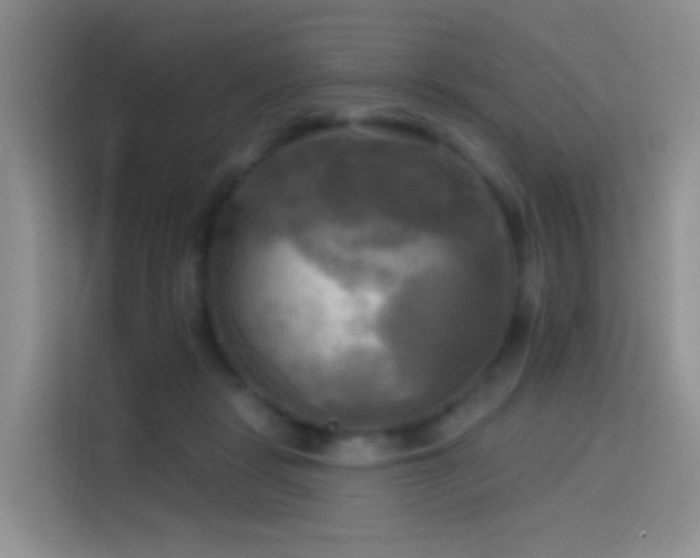 X0000114670461200910211154