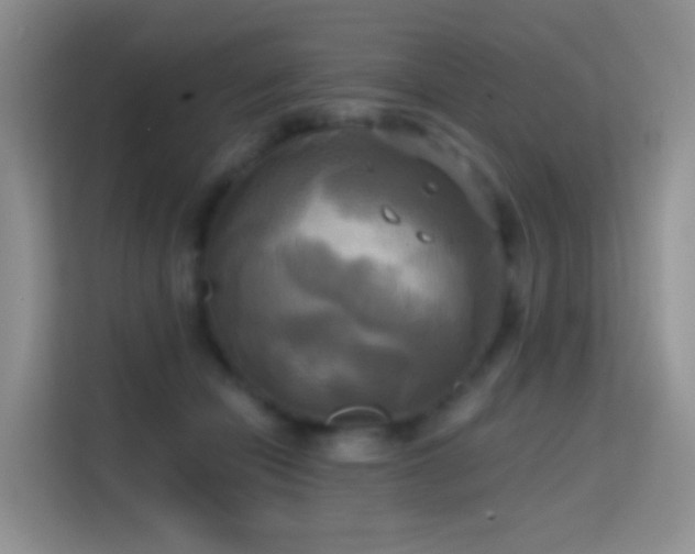 X0000114670462200910211154