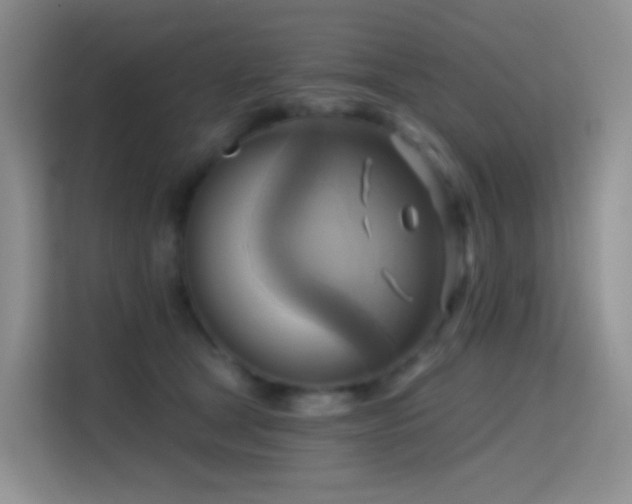 X0000114670465200910211154