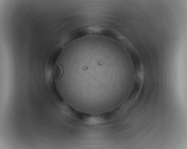 X0000114670468200910211154