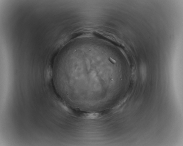 X0000114670474200910211154