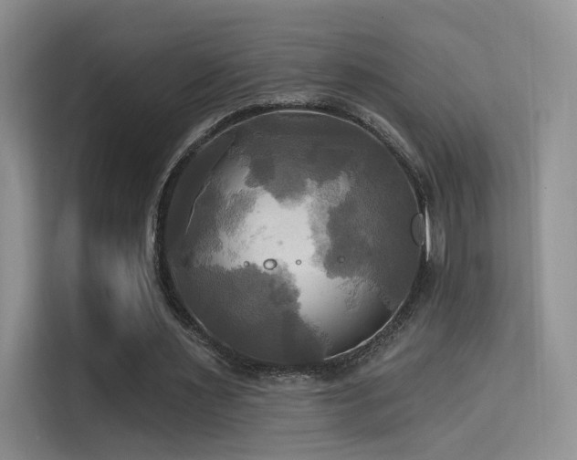 X0000114670483200910211153