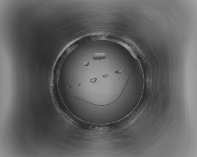 X0000114670484200910211153